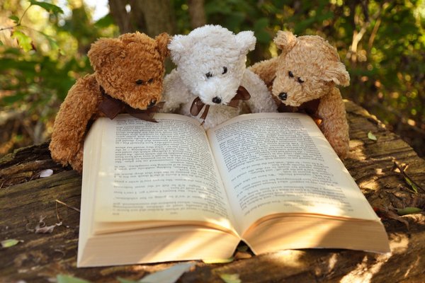 3 Teddies sitzen und lesen neugierig in einem Buch